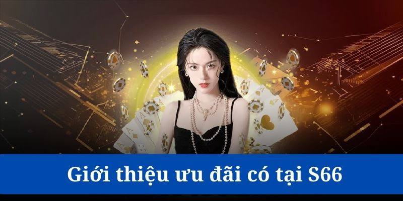 S666 luôn giới thiệu đến cộng đồng hội viên nhiều ưu đãi hot mỗi ngày