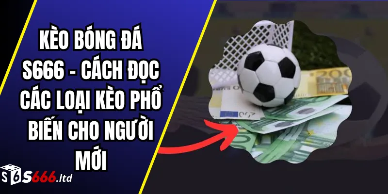 Kèo Bóng Đá S666 – Cách Đọc Các Loại Kèo Phổ Biến Cho Người Mới